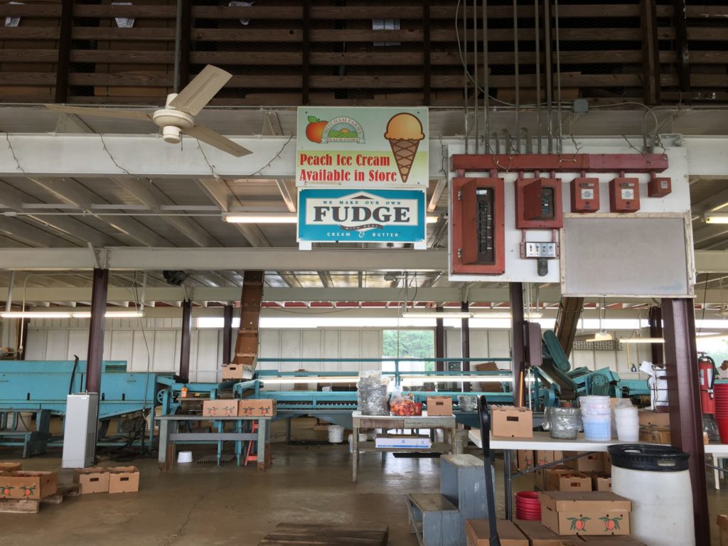 Inside look at Mitcham Farms’ peach processing shed