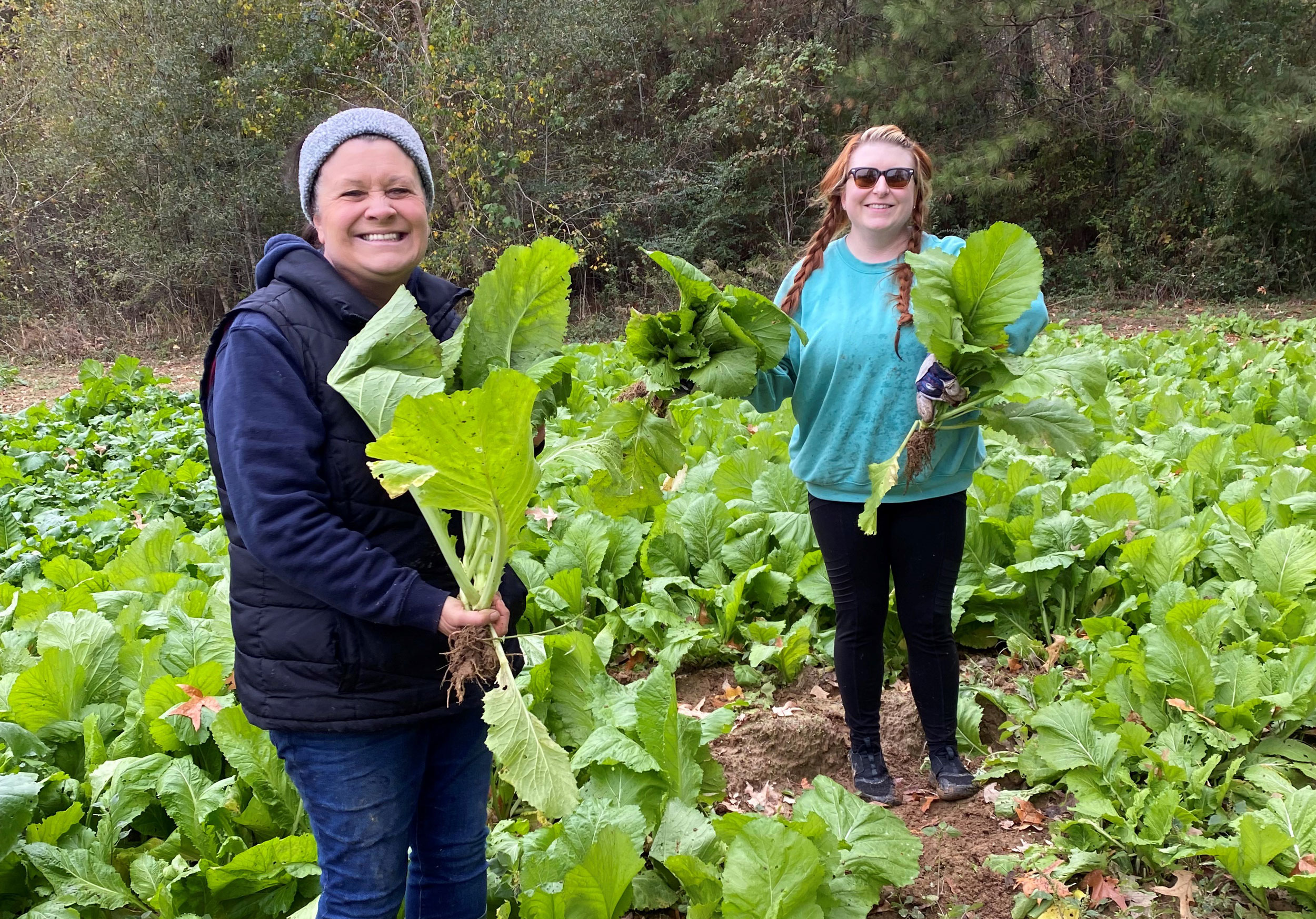 Turnip Gleaning